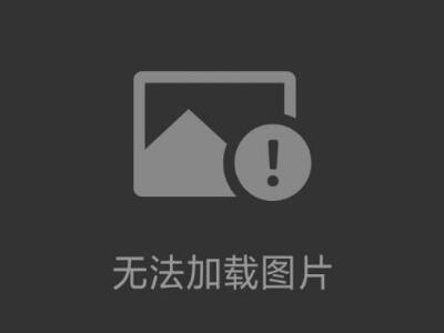 奧豪斯準(zhǔn)微量天平